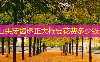 汕头牙齿矫正大概要花费多少钱