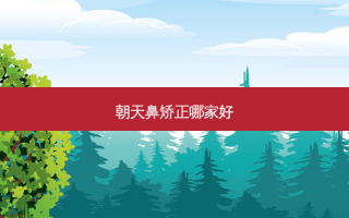 朝天鼻矫正哪家好