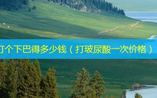 打个下巴得多少钱（打玻尿酸一次价格）