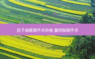 肚子做吸脂手术价格 腹部抽脂手术