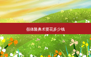 假体隆鼻术要花多少钱