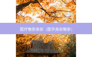医疗整形美容（医学美容整形）