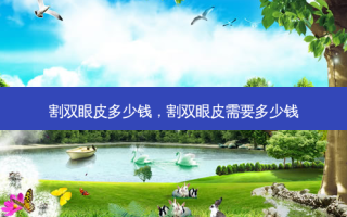 割双眼皮多少钱，割双眼皮需要多少钱