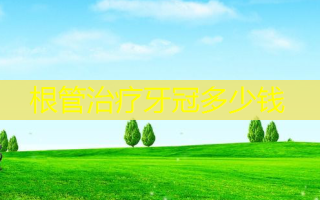 根管治疗牙冠多少钱