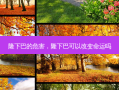 隆下巴的危害，隆下巴可以改变命运吗