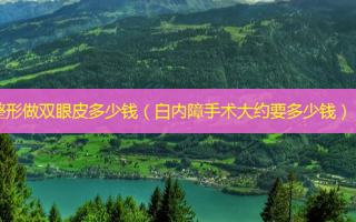 整形做双眼皮多少钱（白内障手术大约要多少钱）