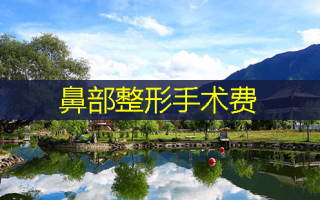 鼻部整形手术费