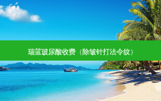瑞蓝玻尿酸收费（除皱针打法令纹）