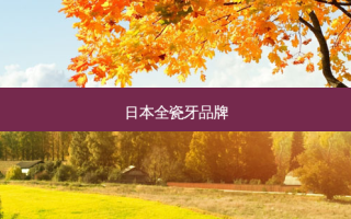 日本全瓷牙品牌