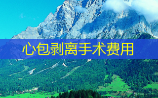 心包剥离手术费用