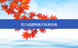 四川成都烤瓷牙标准价格
