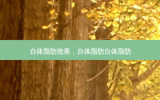自体脂肪效果，自体脂肪自体脂肪