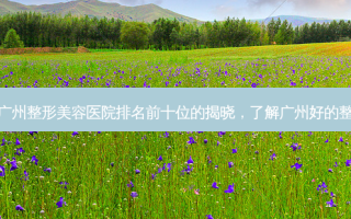 精选传闻：广州整形美容医院排名前十位的揭晓，了解广州好的整形医院之选