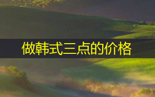 做韩式三点的价格