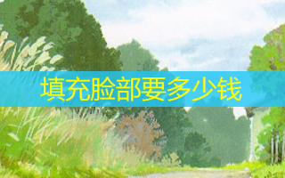 填充脸部要多少钱