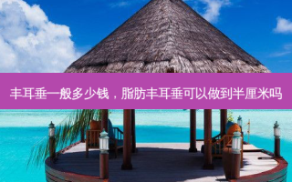 丰耳垂一般多少钱，脂肪丰耳垂可以做到半厘米吗