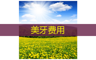 美牙费用