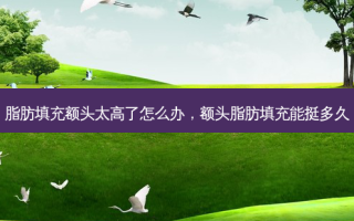 脂肪填充额头太高了怎么办，额头脂肪填充能挺多久