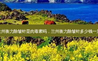 兰州 *** 除皱针是 *** 吗，兰州 *** 除皱针多少钱一只