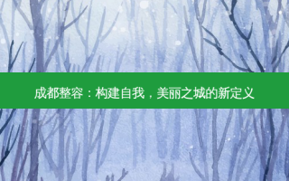 成都整容：构建自我，美丽之城的新定义