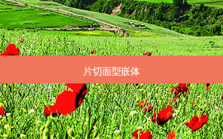 片切面型嵌体