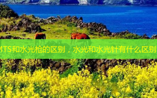 MTS和水光枪的区别，水光和水光针有什么区别