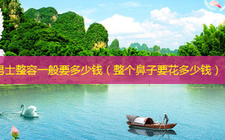 男士整容一般要多少钱（整个鼻子要花多少钱）
