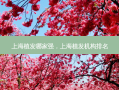 上海植发哪家强，上海植发机构排名