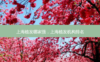 上海植发哪家强，上海植发机构排名