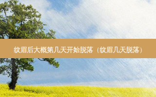纹眉后大概第几天开始脱落（纹眉几天脱落）