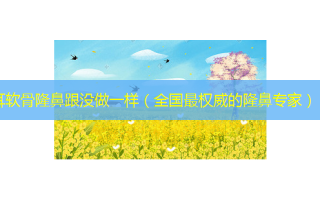 耳软骨隆鼻跟没做一样（全国 *** 的隆鼻专家）