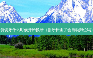 侧切牙什么时候开始换牙（新牙长歪了会自动归位吗）