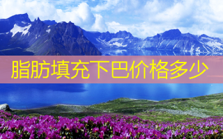 脂肪填充下巴价格多少