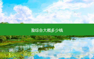 脸综合大概多少钱