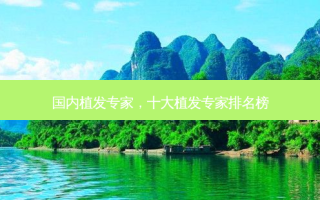 国内植发专家，十大植发专家排名榜