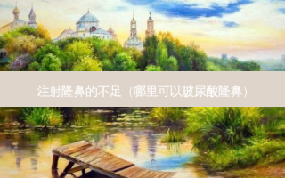 注射隆鼻的不足（哪里可以玻尿酸隆鼻）