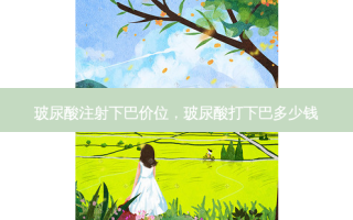玻尿酸注射下巴价位，玻尿酸打下巴多少钱