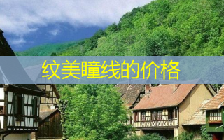 纹美瞳线的价格