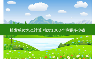 植发单位怎么计算 植发1000个毛囊多少钱