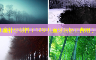 儿童补牙材料（12岁儿童牙齿矫正费用）