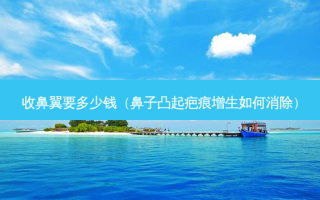 收鼻翼要多少钱（鼻子凸起疤痕增生如何消除）