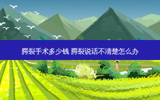 腭裂手术多少钱 腭裂说话不清楚怎么办