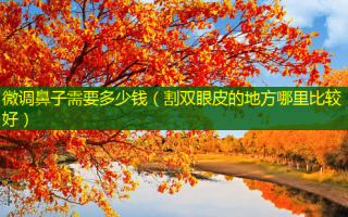 微调鼻子需要多少钱（割双眼皮的地方哪里比较好）