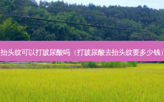抬头纹可以打玻尿酸吗（打玻尿酸去抬头纹要多少钱）