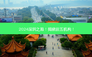 2024深圳之巅！揭晓前五机构！