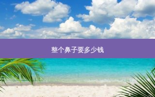 整个鼻子要多少钱