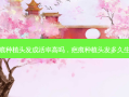 疤痕种植头发成活率高吗，疤痕种植头发多久生发