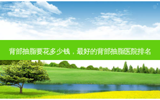 背部抽脂要花多少钱， *** 的背部抽脂医院排名