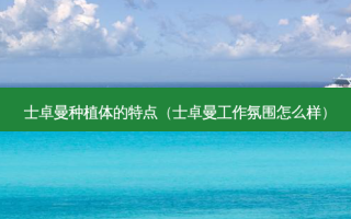 士卓曼种植体的特点（士卓曼工作氛围怎么样）