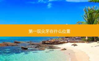 之一双尖牙在什么位置